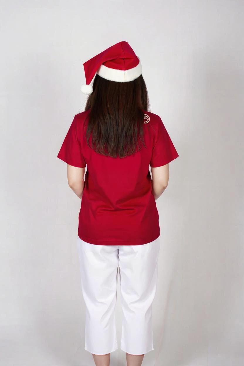 Miracle of christmas