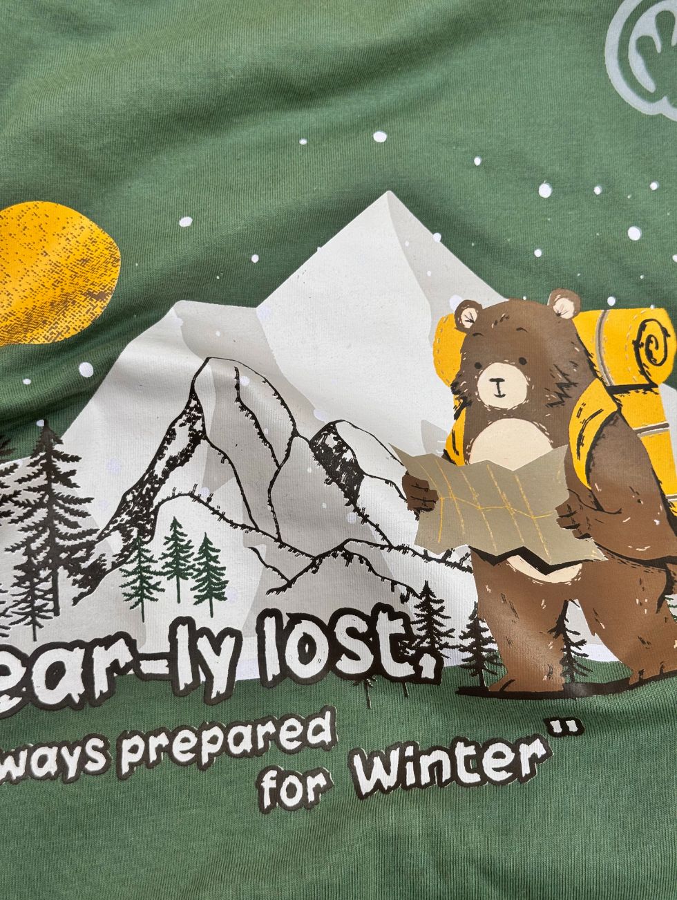 Bearly Lost